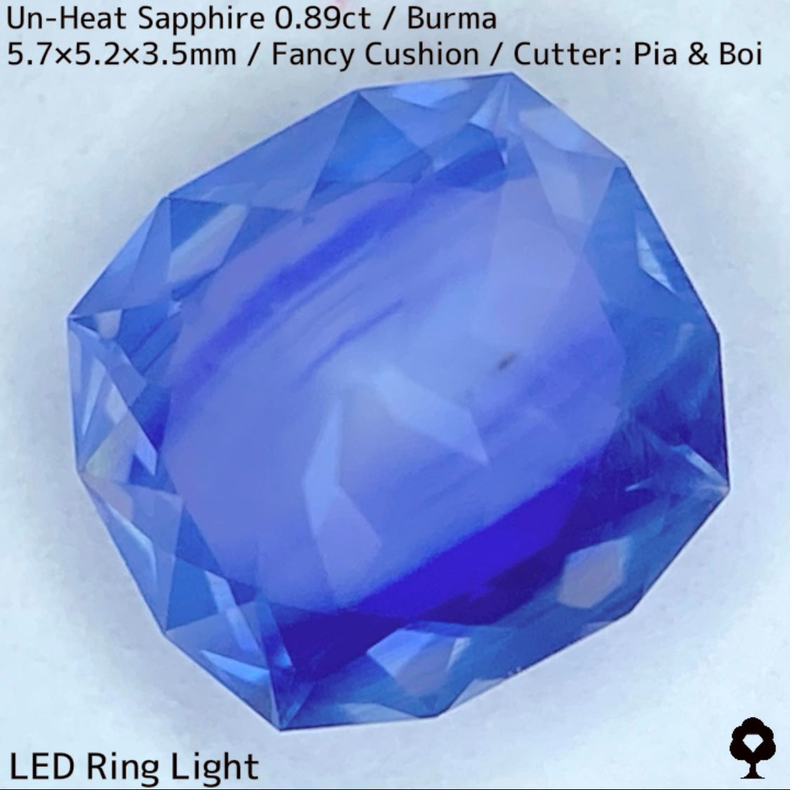 Un-Heat Sapphire 0.896ct / Burma