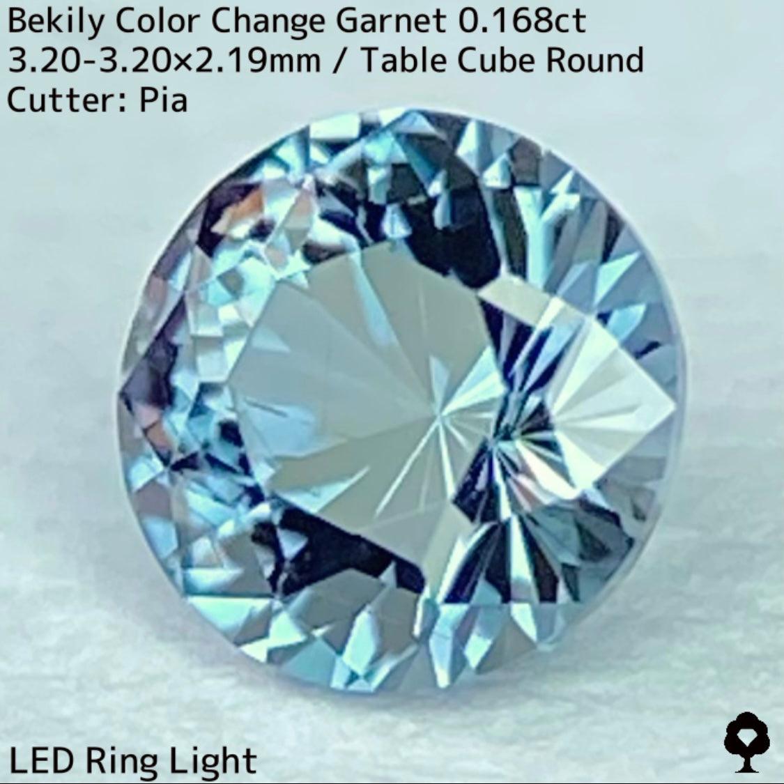 Color Change Garnet 0.168ct / Bekily(Madagascar)