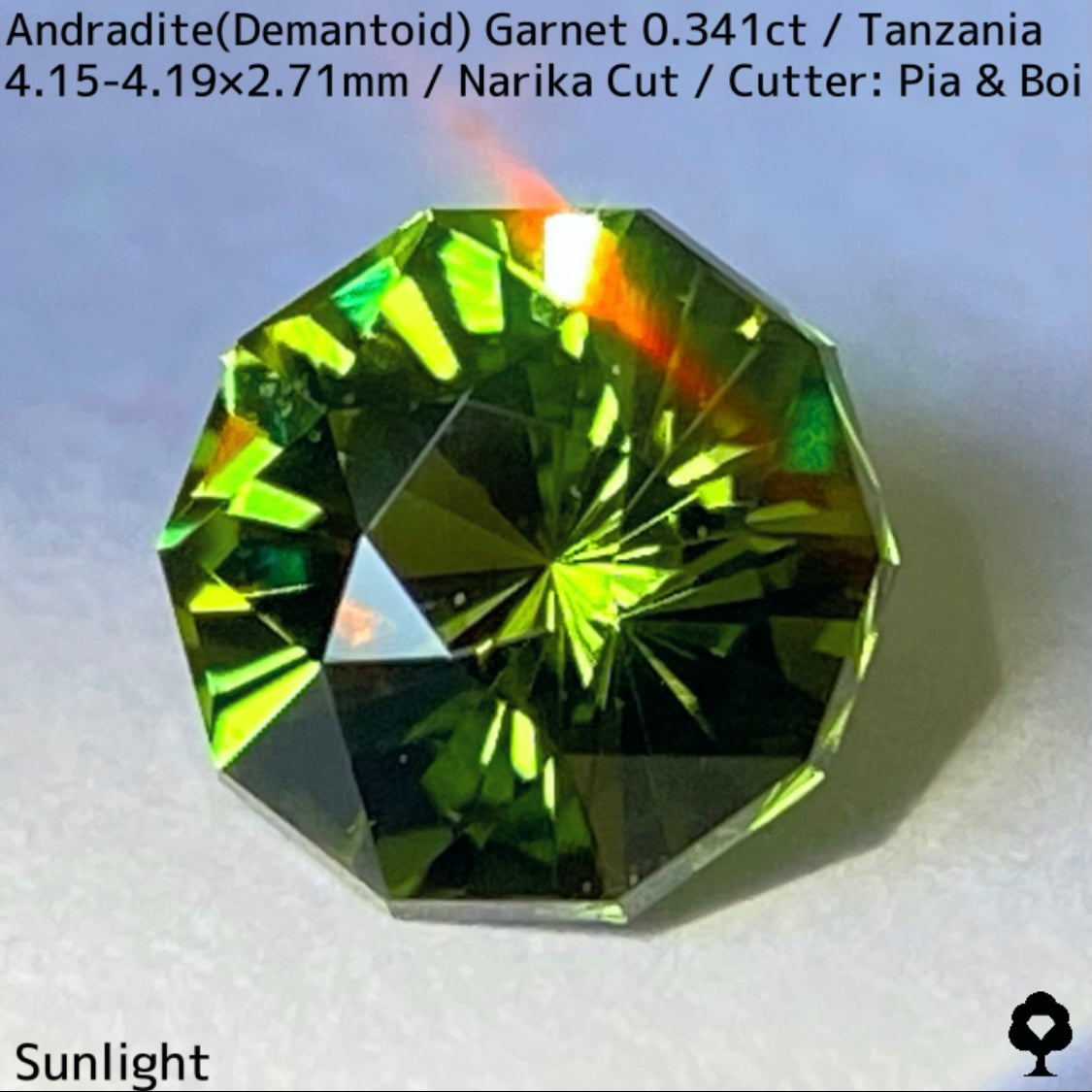 Andoradaite（Demantoid）0.341ct / Tanzania / Narika