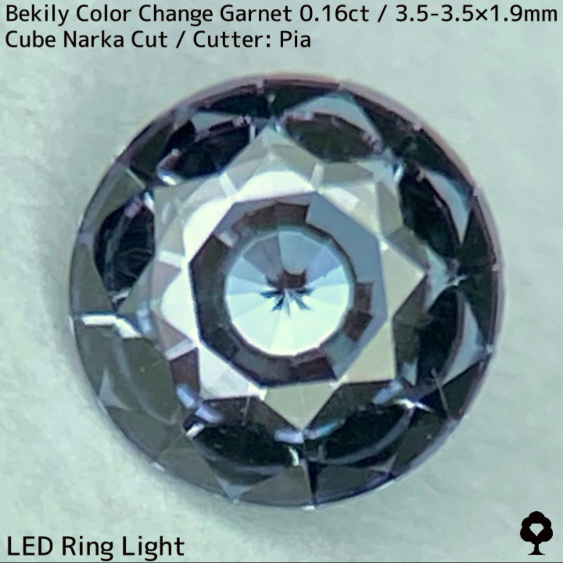 Color Change Garnet 0.161ct / Bekily(Madagascar)