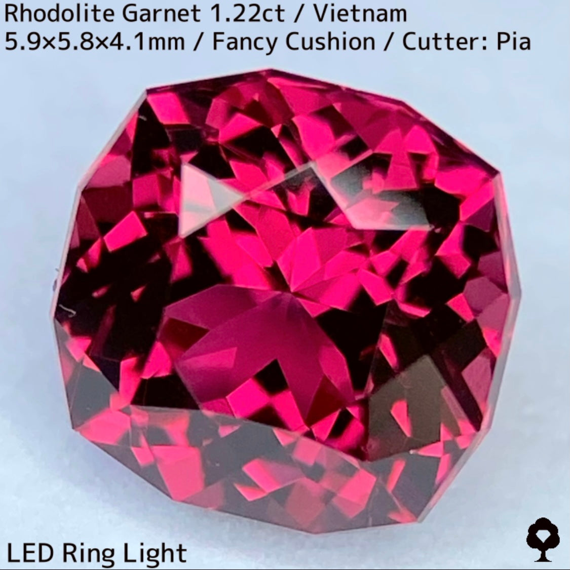 Rhodolite Garnet 1.22ct / Vietnam