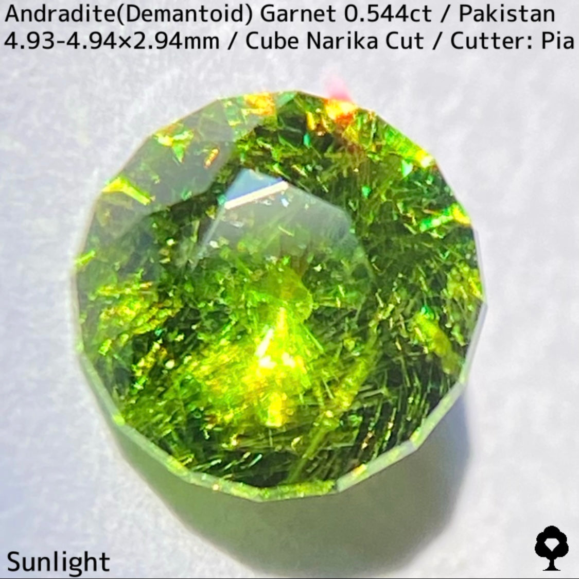 Andradite(Demantoid)0.544ct / Pakistan / Table cube Narika