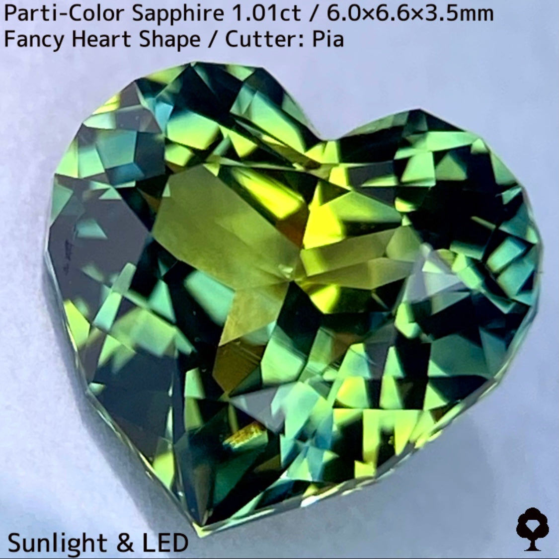 1.01ct Thai parti-colored sapphire ★ A rare fancy heart shape with a party feel that is typical of Bangkacha