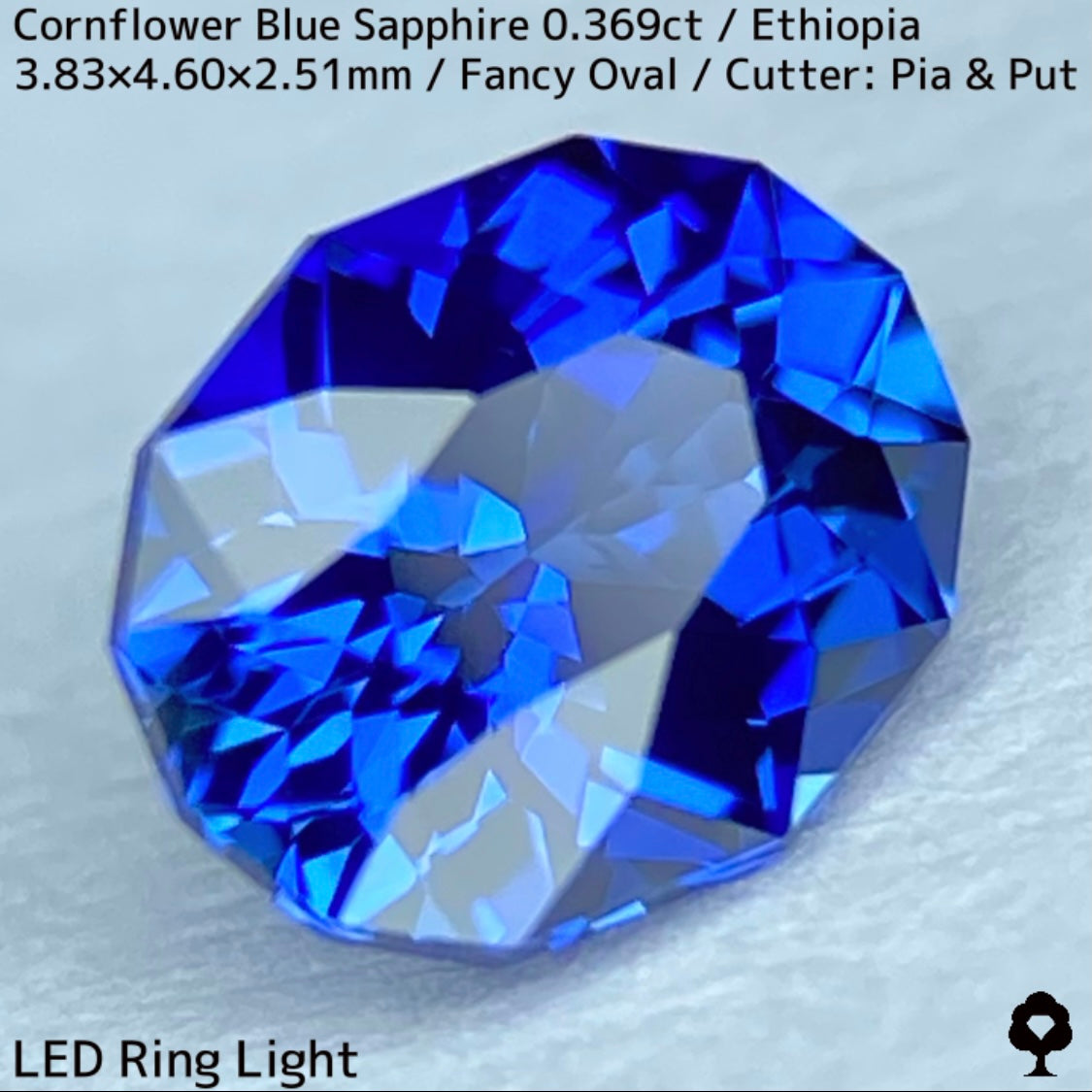 Ethiopian cornflower blue sapphire 0.369ct ★ Vivid and gorgeous, clear, beautiful crystal cut ★ Comes with 0.88ct rough stone