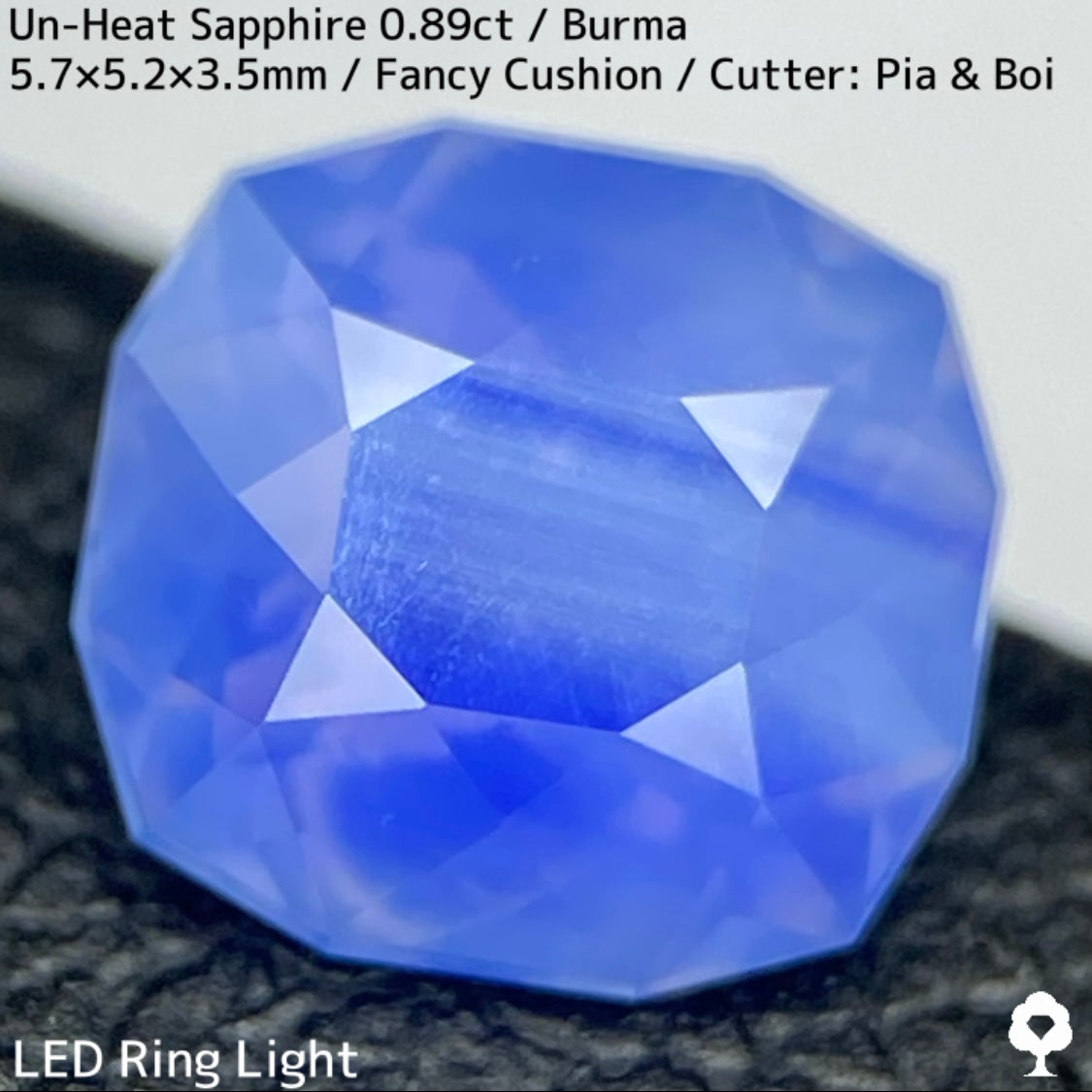 Un-Heat Sapphire 0.896ct / Burma