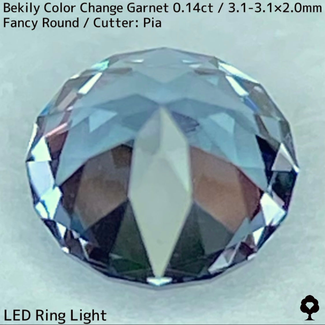 Color Change Garnet 0.14ct / Bekily(Madagascar)