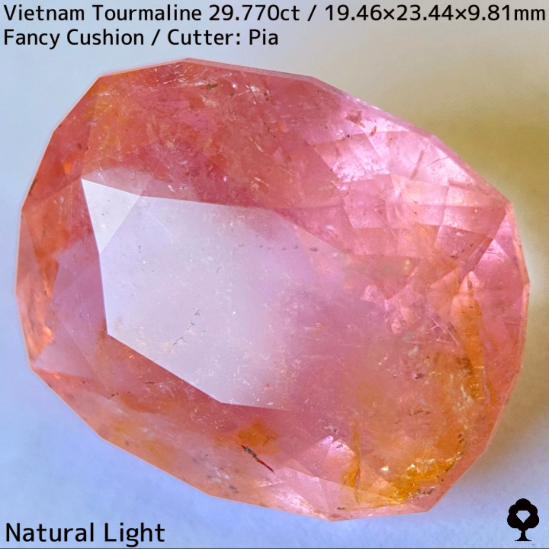 Tourmaline 29.770ct / Vietnam