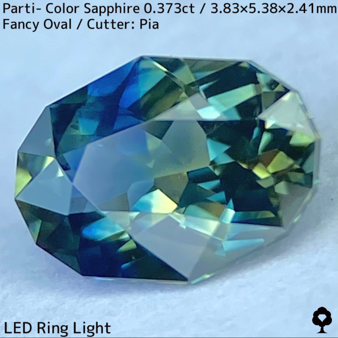 Parti-Color Sapphire 0.373ct / Thailand