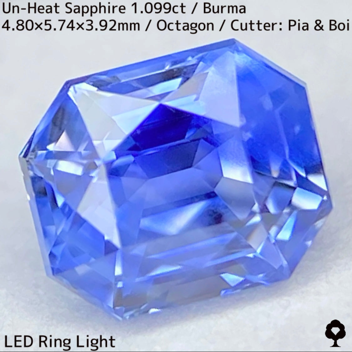 Un-Heat Sapphire 1.099ct / Burma