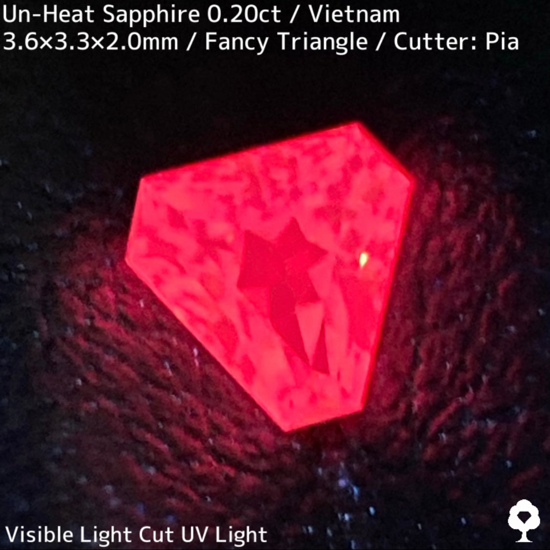 Un-Heat Sapphire 0.204ct / Vietnam