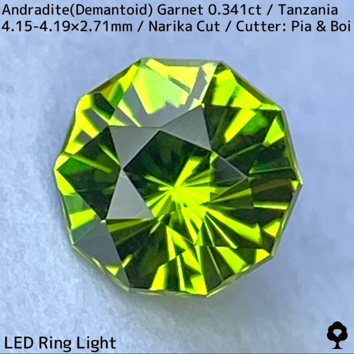 Andoradaite(Demantoid)0.341ct / Tanzania / Narika