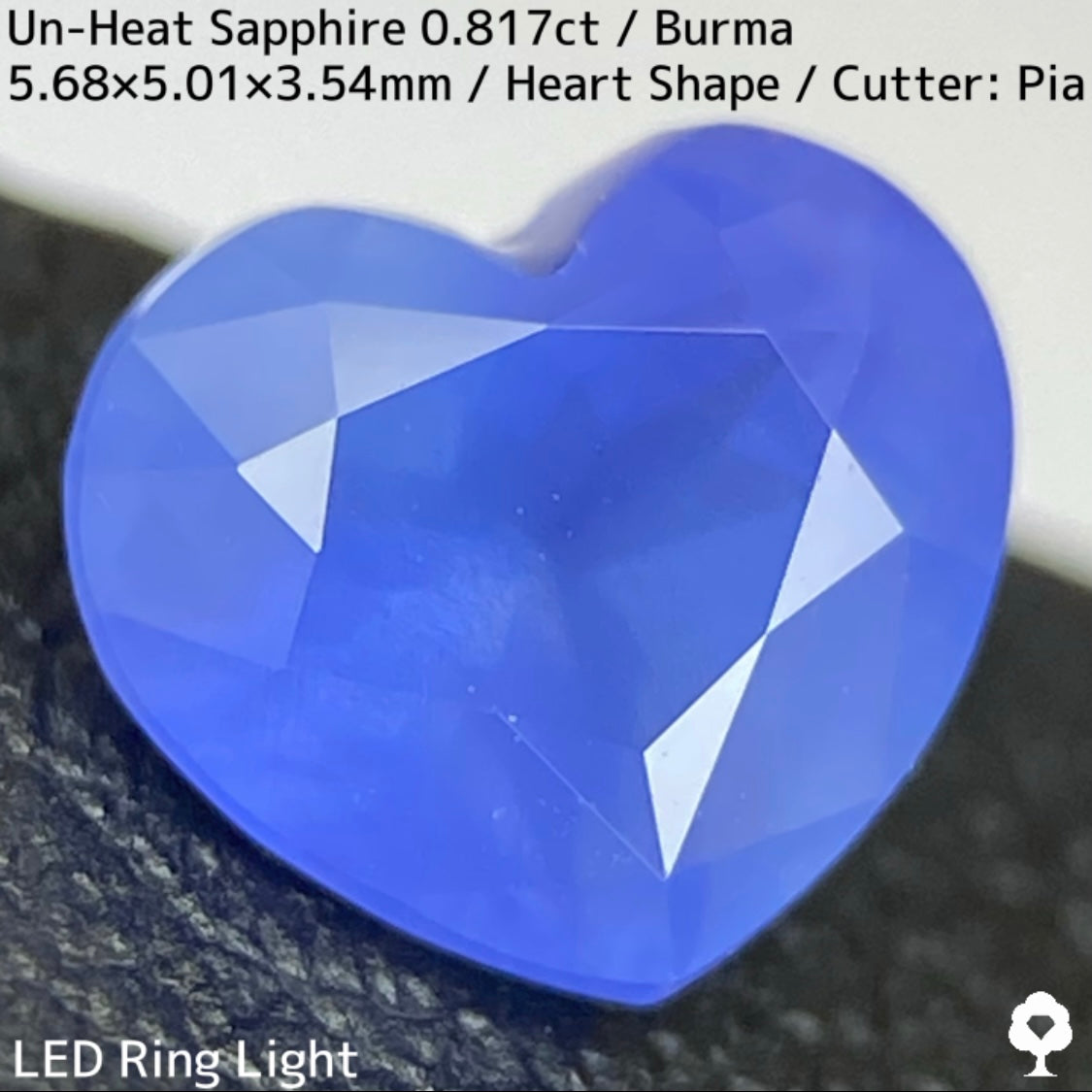 Un-Heat Sapphire 0.817ct / Burma