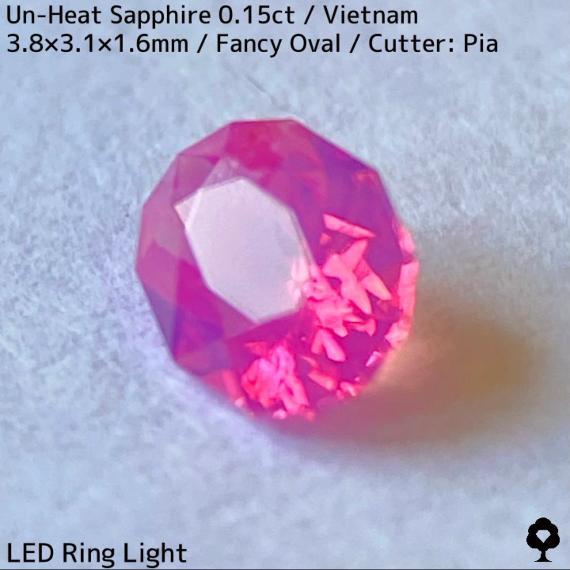 【ご当選者さま専用】ベトナム産非加熱サファイア0.15ct★小粒に詰まった美色ネオンシルキーピンクは必見