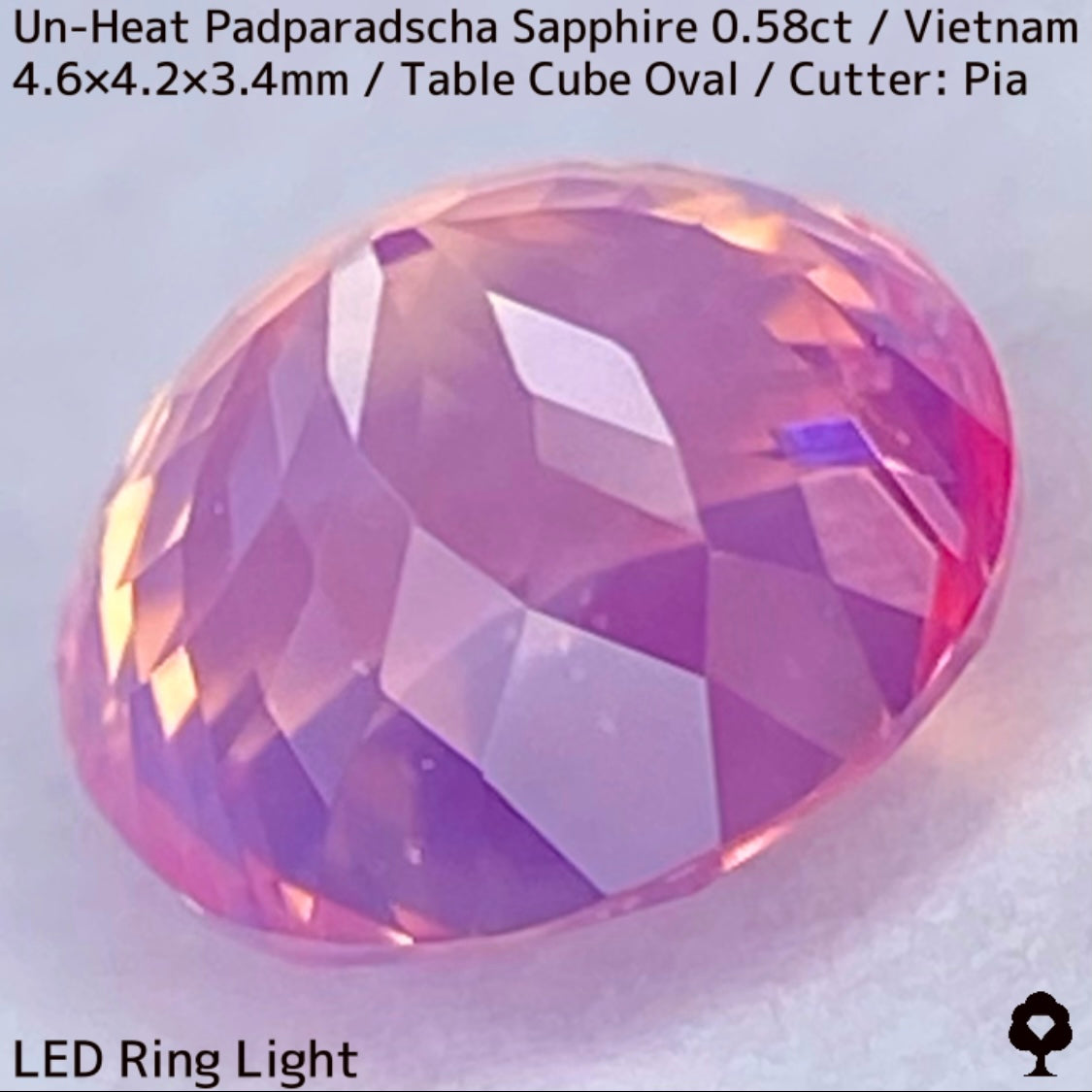 Un-Heat Padparadscha Sapphire 0.58ct / Vietnam