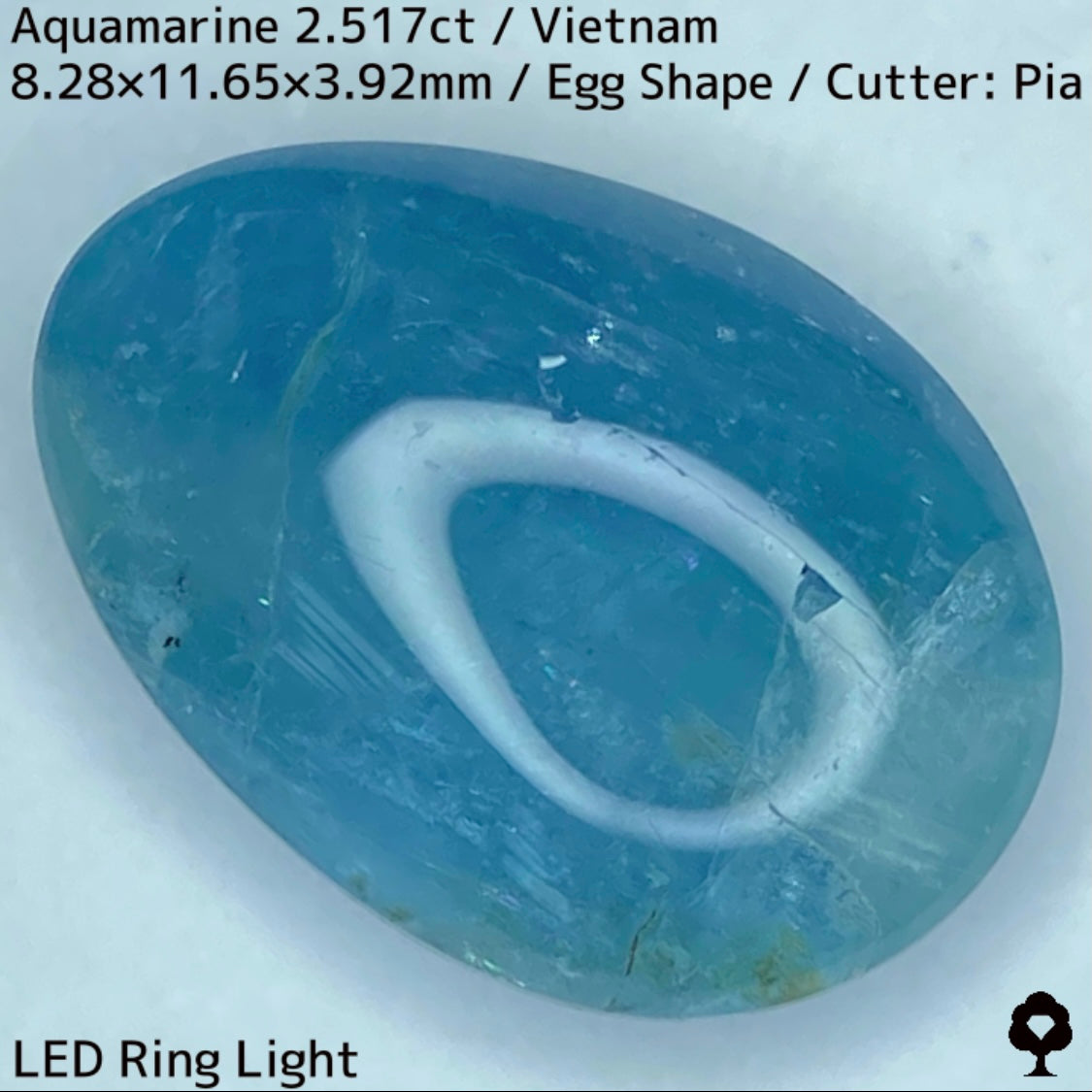 Aquamarine 2.517ct / Vietnam