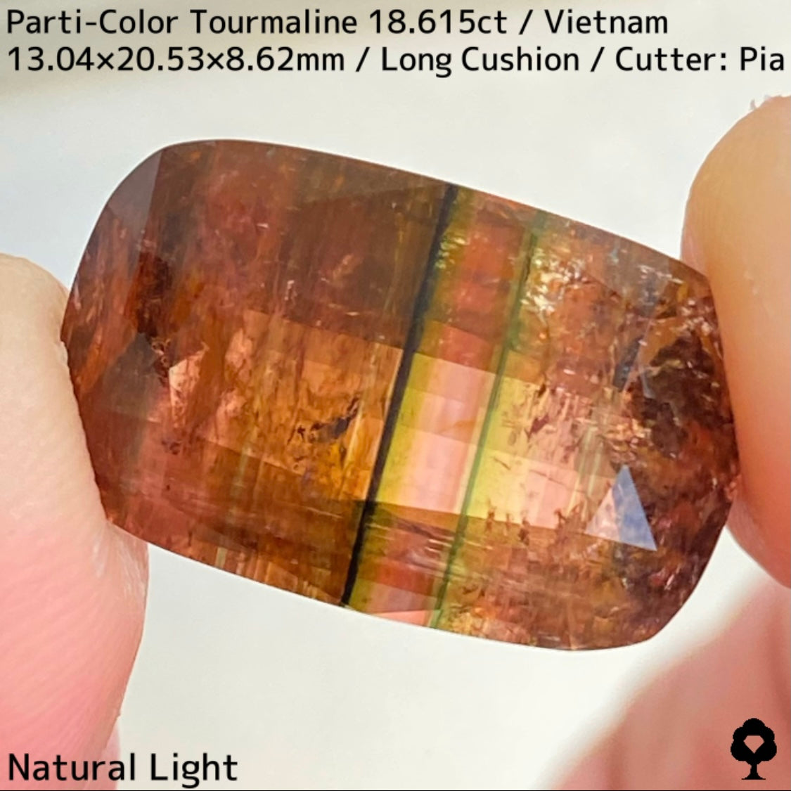 Parti-Color Tourmaline 18.615ct / Vietnam / Long Cushion