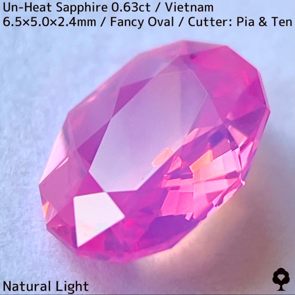 Un-Heat Sapphire 0.63ct / Vietnam