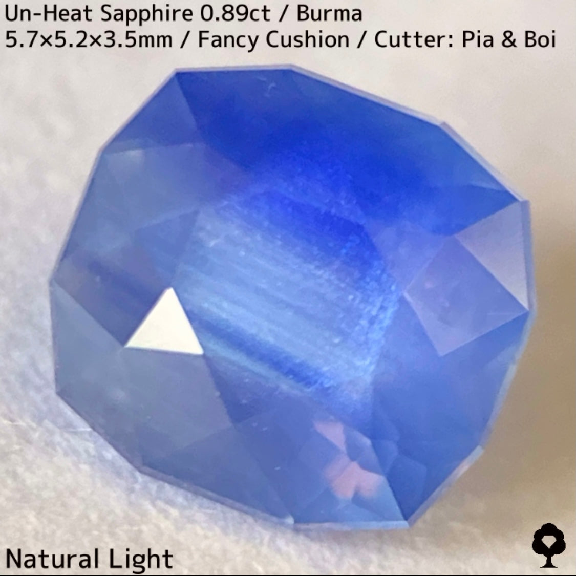 Un-Heat Sapphire 0.896ct / Burma