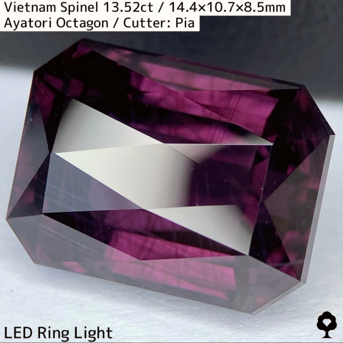 Spinel 13.52ct / Vietnam / Ayatori