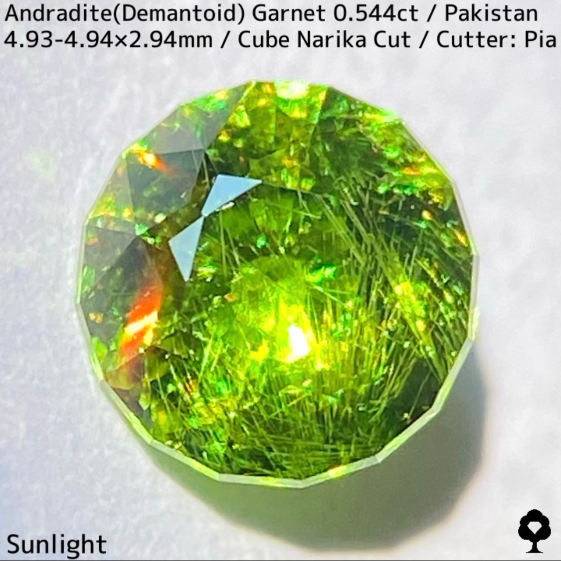 Andradite(Demantoid)0.544ct / Pakistan / Table cube Narika