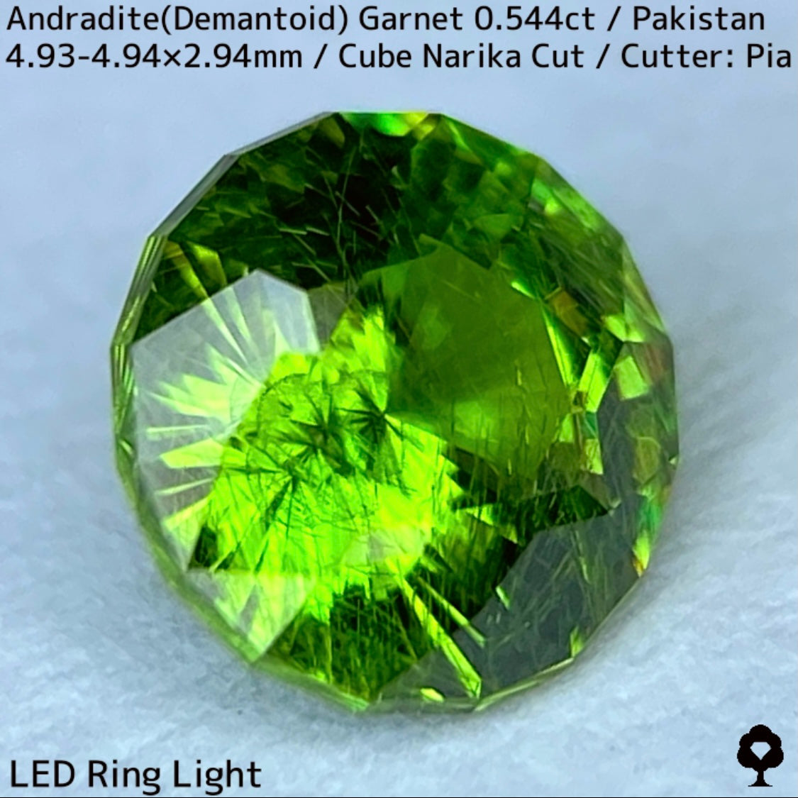 Andradite (Demantoid) 0.544ct / Pakistan / Table cube Narika