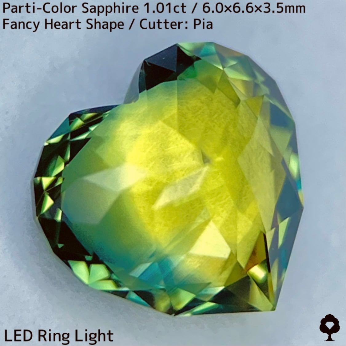1.01ct Thai parti-colored sapphire ★ A rare fancy heart shape with a party feel that is typical of Bangkacha