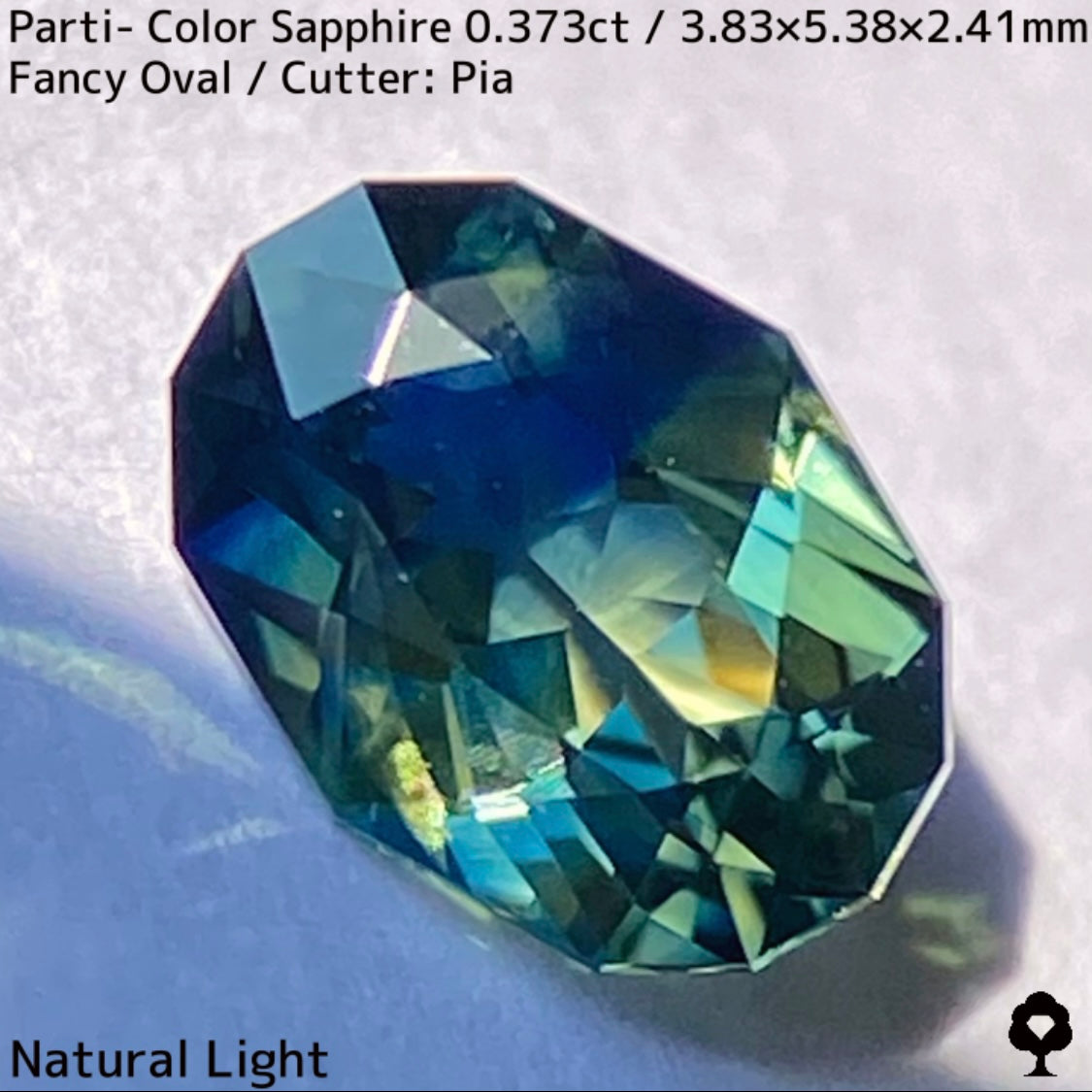 Parti-Color Sapphire 0.373ct / Thailand