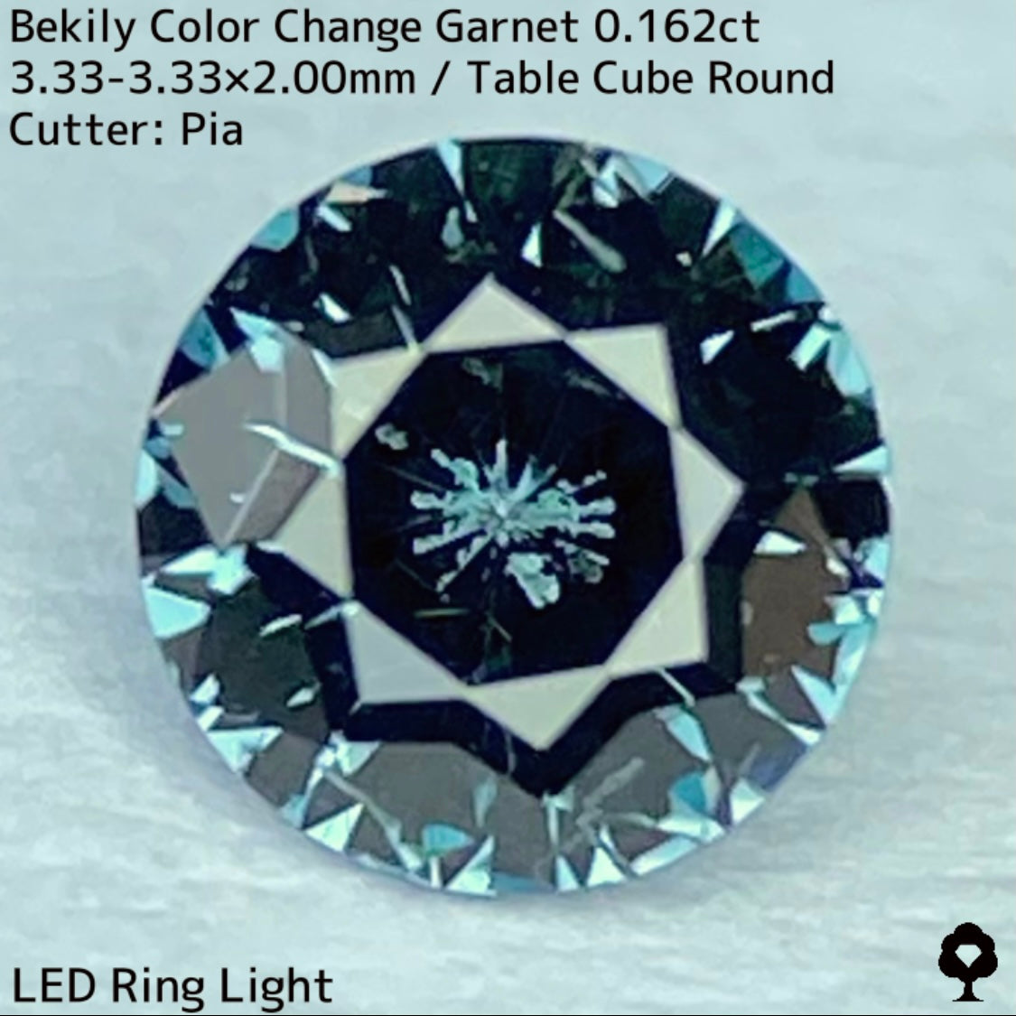 Color Change Garnet 0.162ct / Bekily(Madagascar)