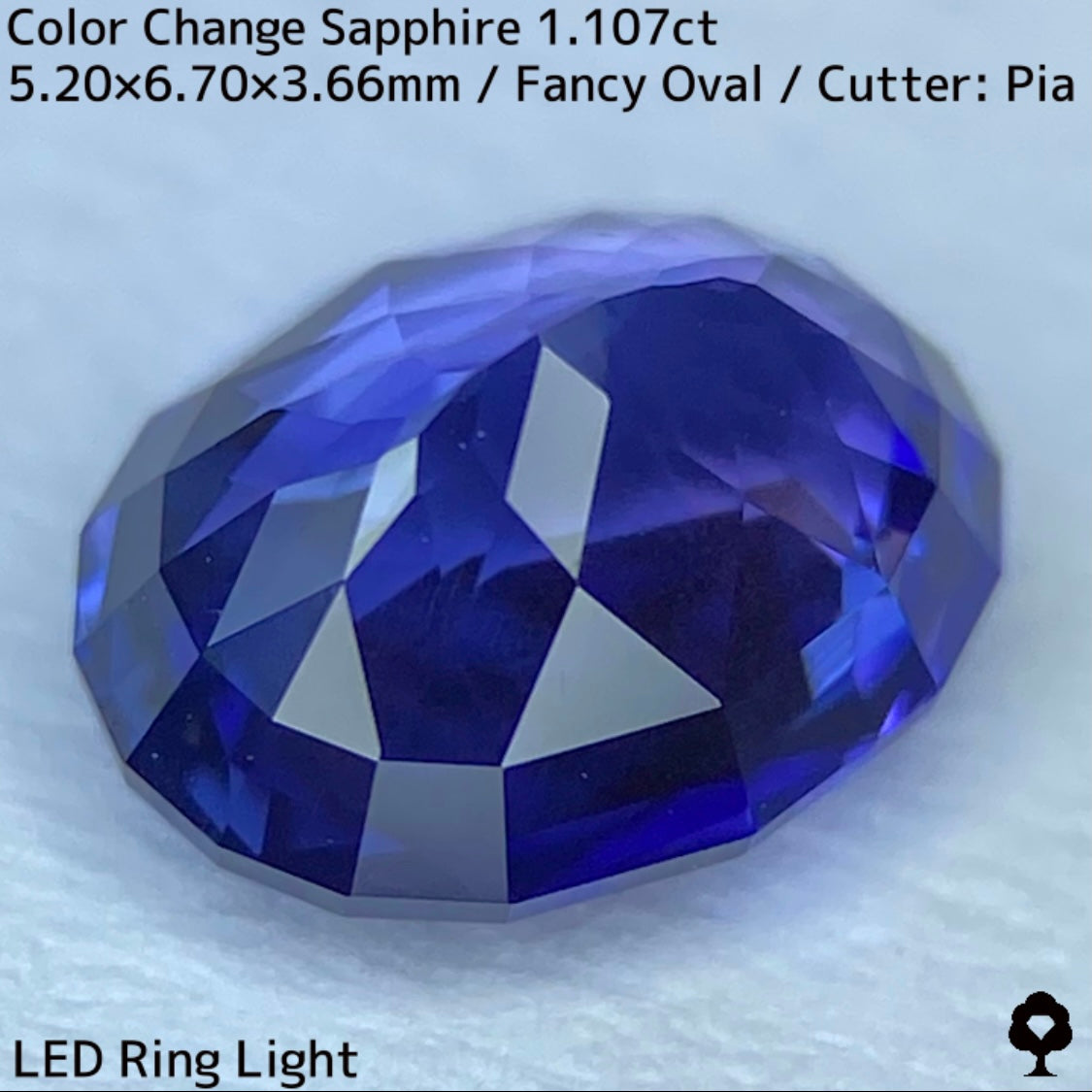 Tanzania color change sapphire 1.107ct ★ Beautiful color change multicolor crystal with a mix of blue, purple, and greenish blue