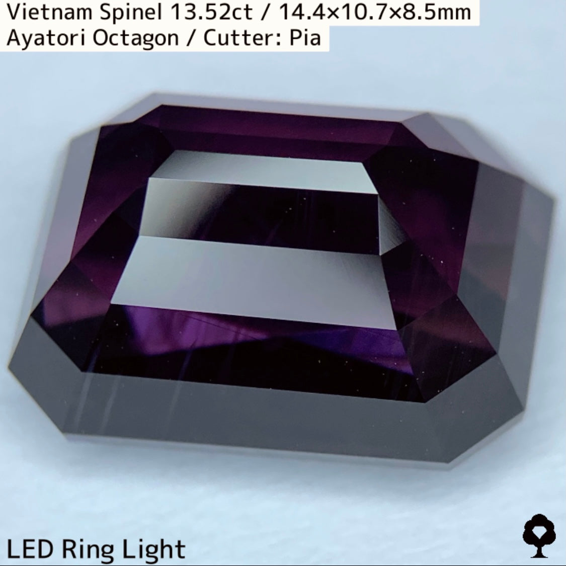 Spinel 13.52ct / Vietnam / Ayatori