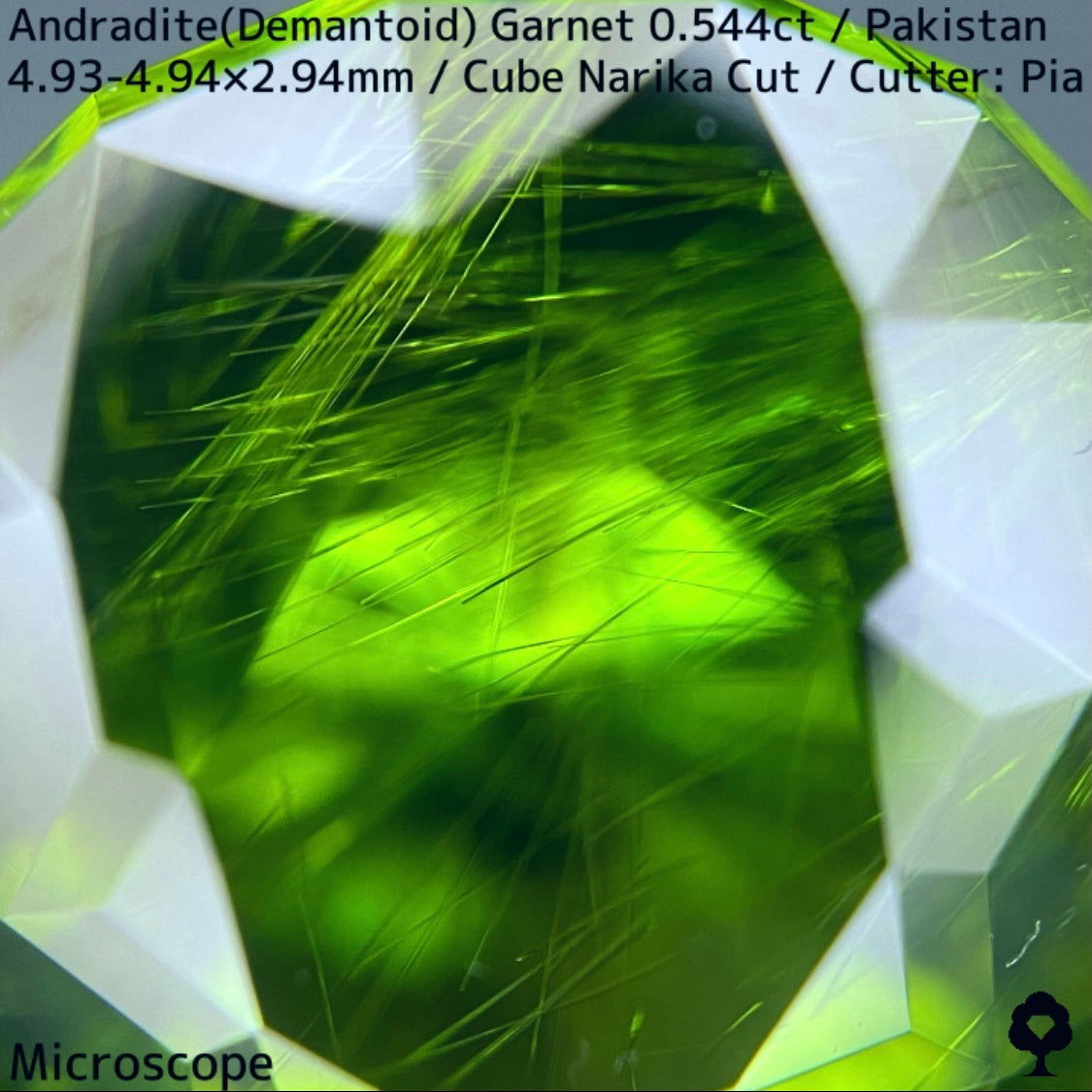 Andradite(Demantoid)0.544ct / Pakistan / Table cube Narika