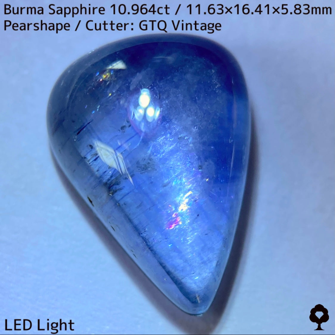 Sapphire 10.964ct / Burma / Cabochon