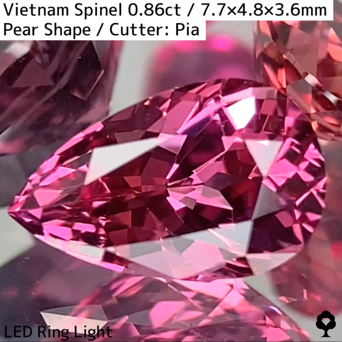 Spinel 0.86ct / Vietnam
