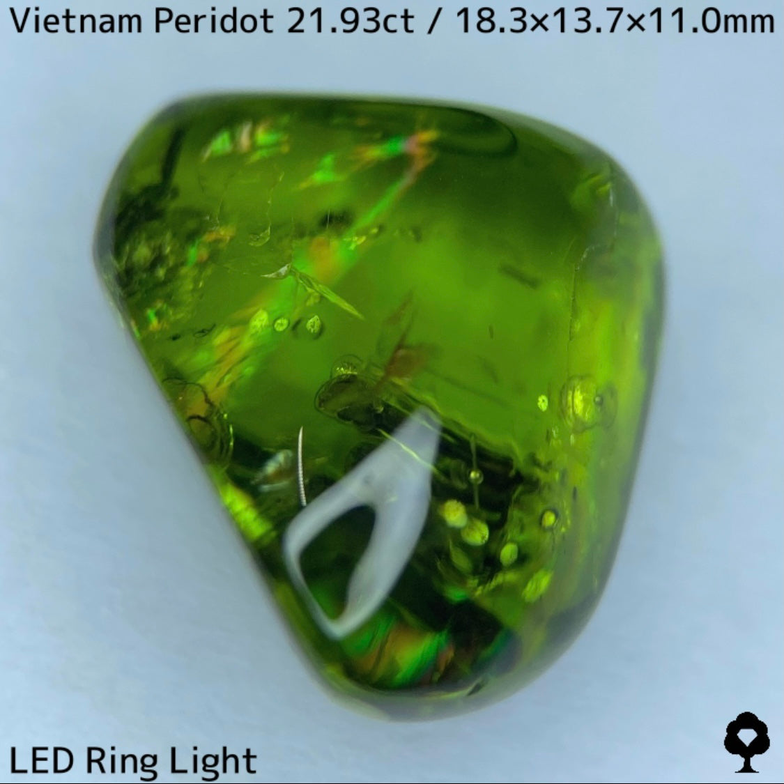 Peridot 21.93ct / Vietnam / Rough stone