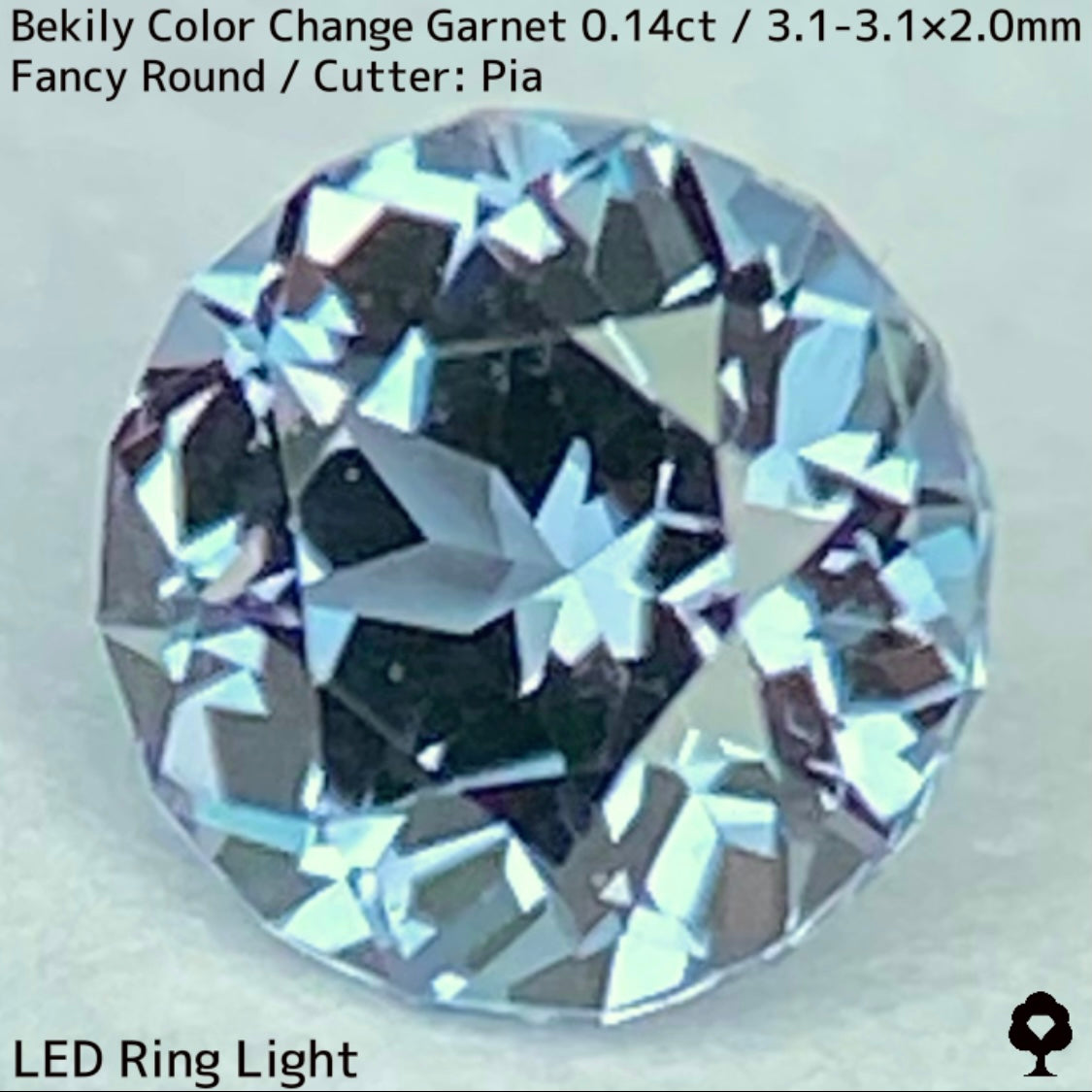 Color Change Garnet 0.14ct / Bekily(Madagascar)