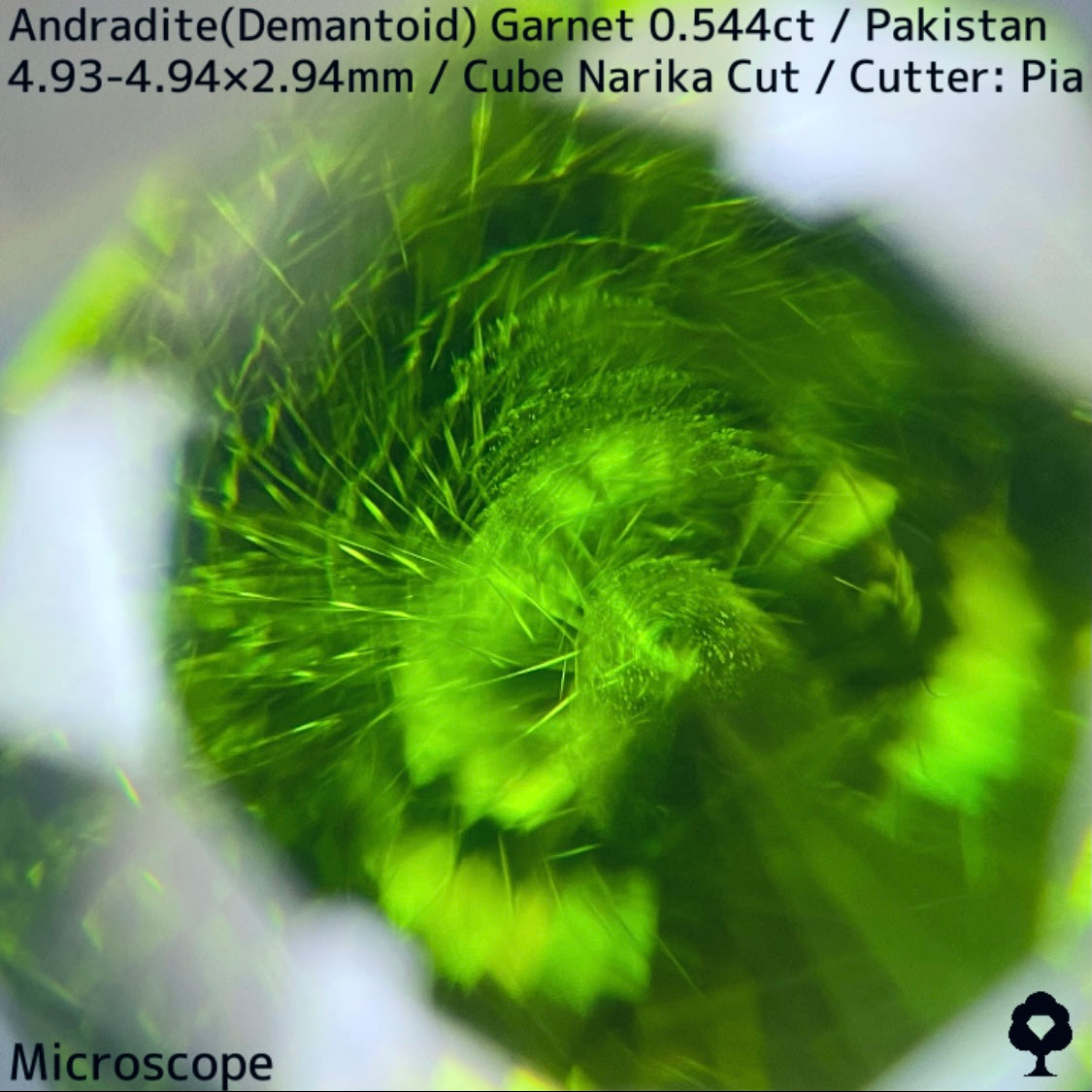 Andradite(Demantoid)0.544ct / Pakistan / Table cube Narika