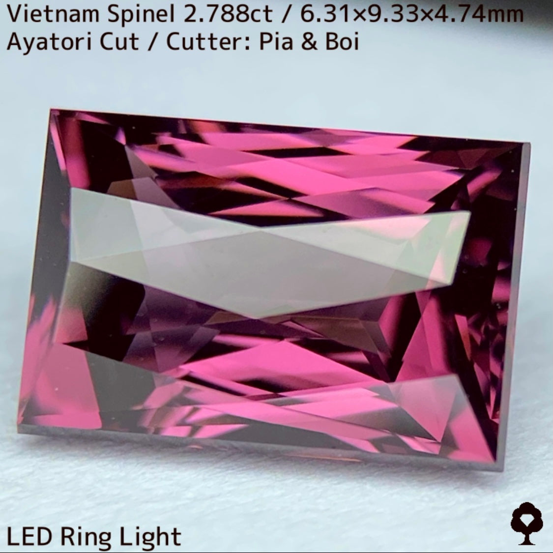 Spinel 2.788ct / Vietnam