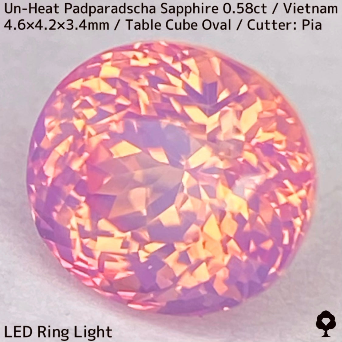 Un-Heat Padparadscha Sapphire 0.58ct / Vietnam