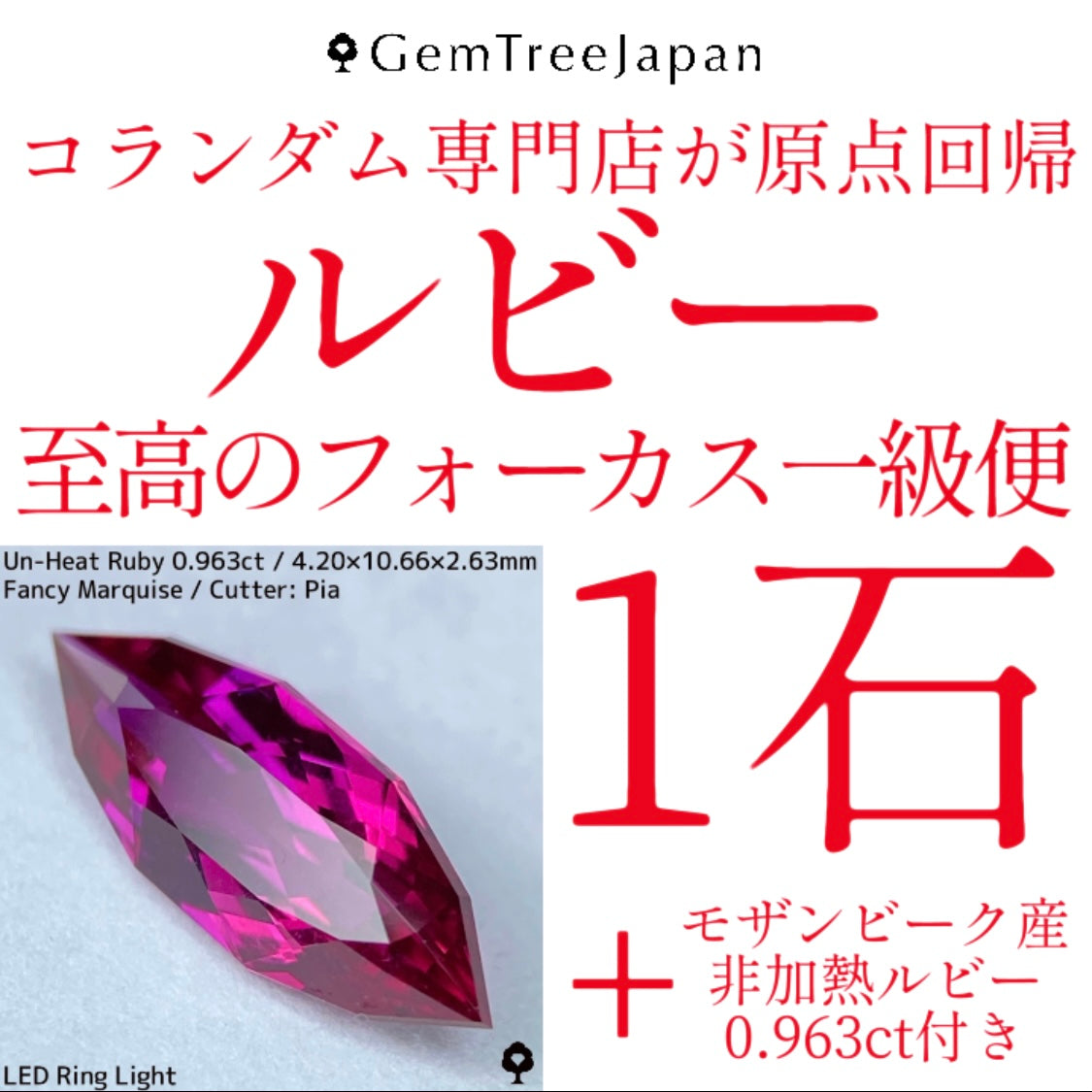 至高のルビーフォーカス一級便【1石バージョン】至高の一級品ルビーが1石届く💎