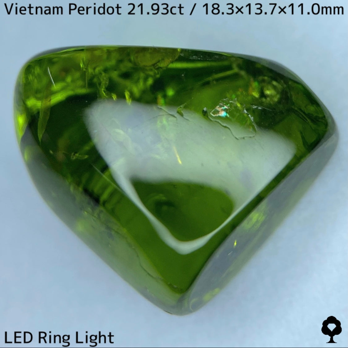 Peridot 21.93ct / Vietnam / Rough stone