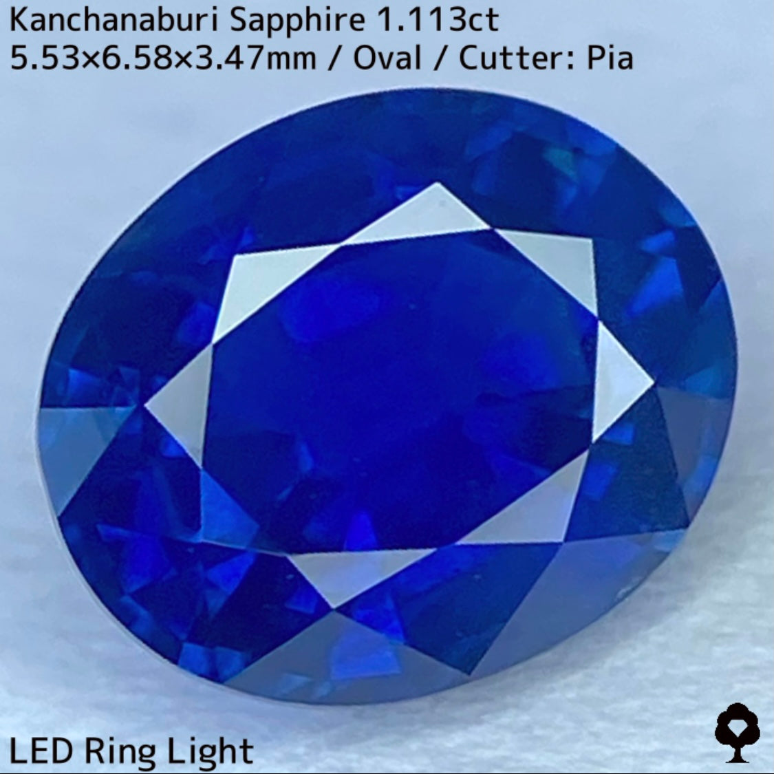 Kanchanaburi sapphire 1.113ct ★ A rare 1ct+ sapphire with a silky, slightly greenish blue color typical of Kanchanaburi