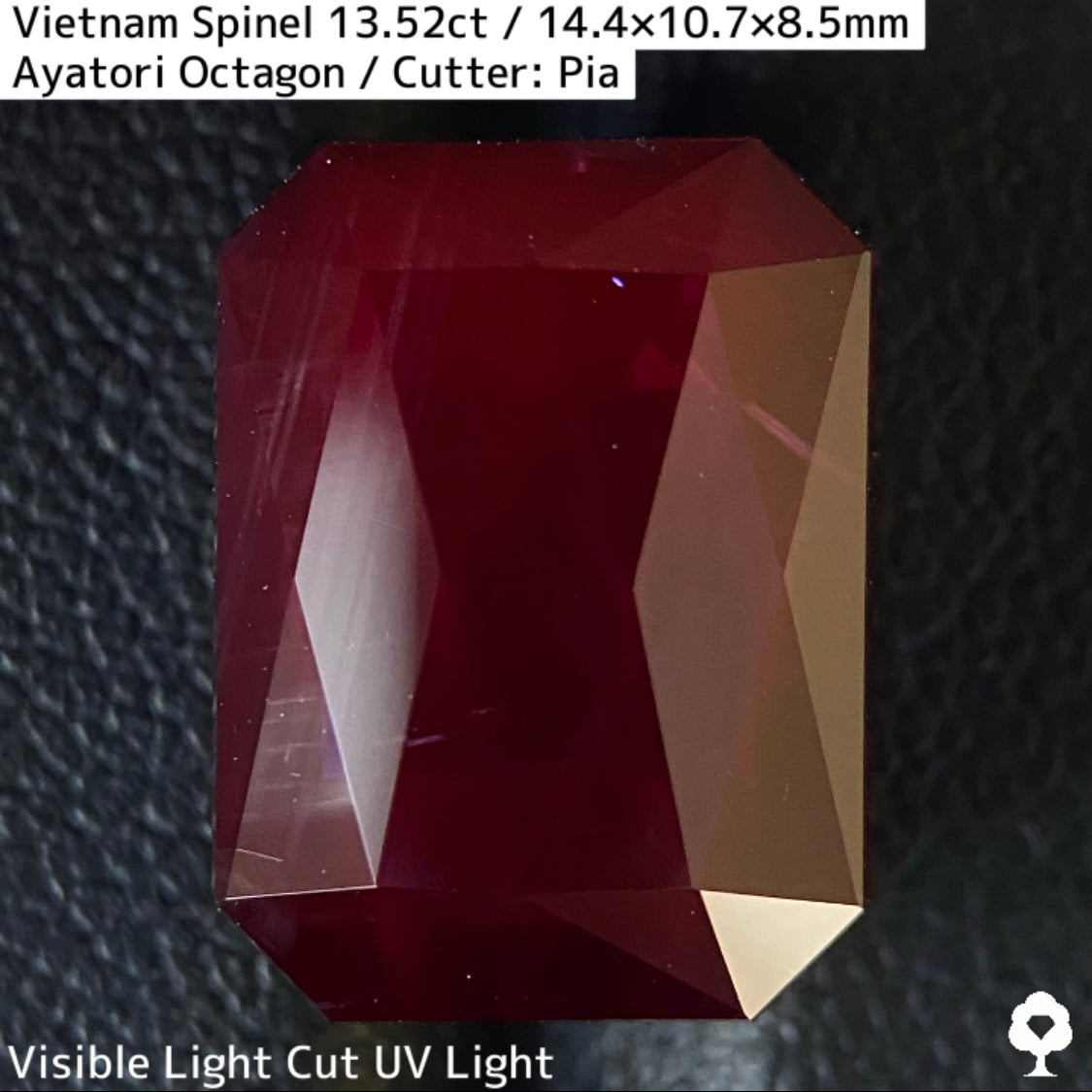 Spinel 13.52ct / Vietnam / Ayatori