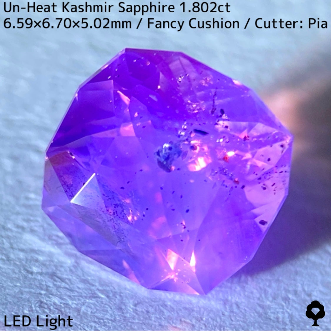 Unheated Kashmir sapphire from Pakistan 1.802ct ★ Enjoy this rare Kashmir masterpiece in a variety of light sources