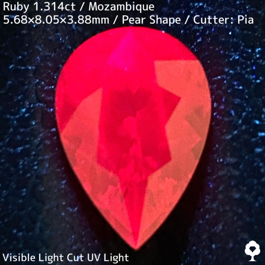 【Ruby Focus】Ruby 1.314ct / Mozambique