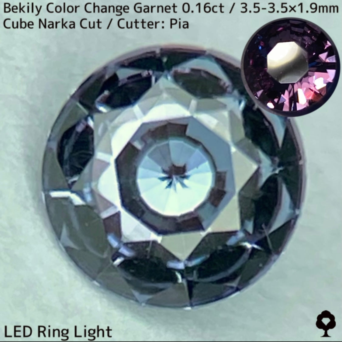 Color Change Garnet 0.161ct / Bekily(Madagascar)