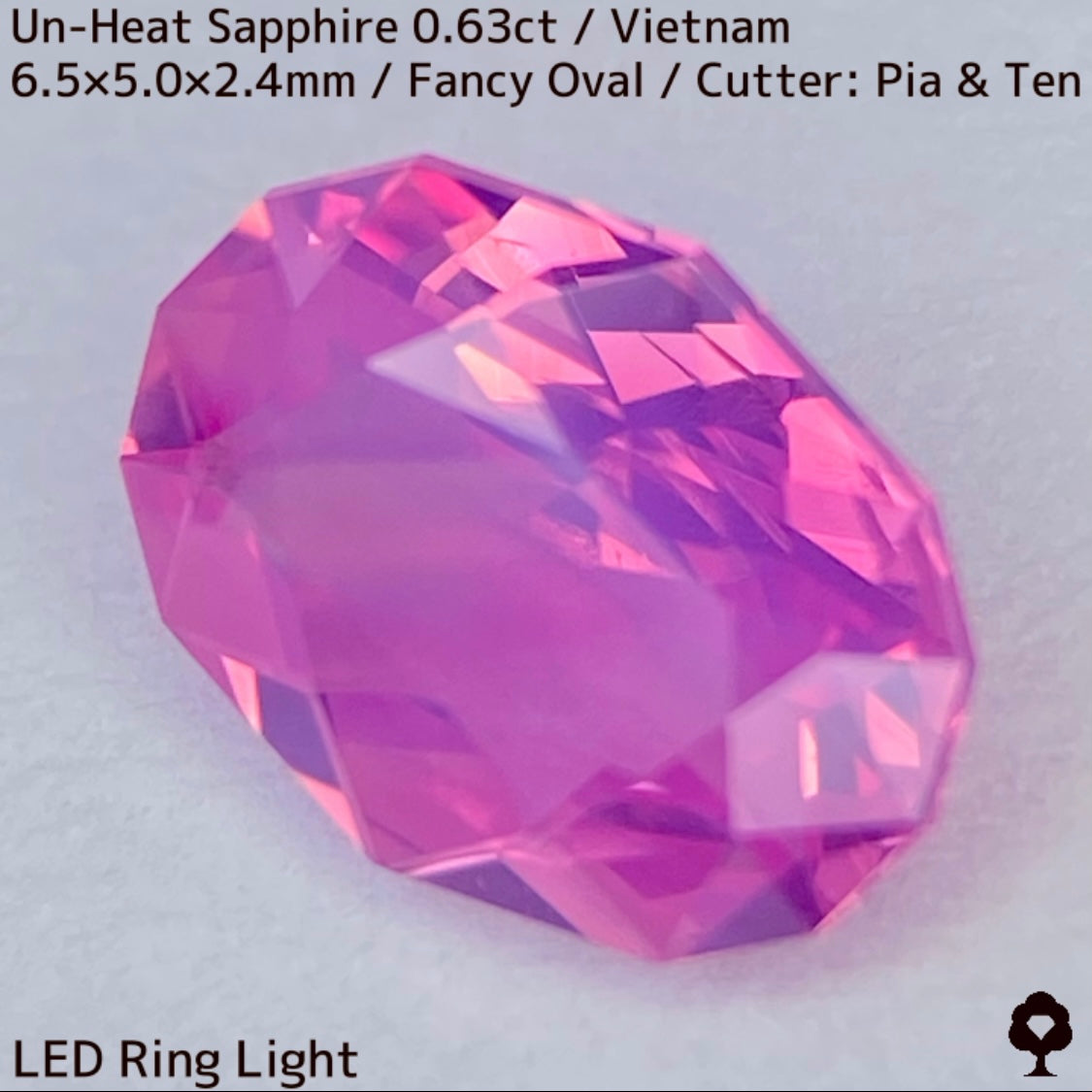 Un-Heat Sapphire 0.63ct / Vietnam