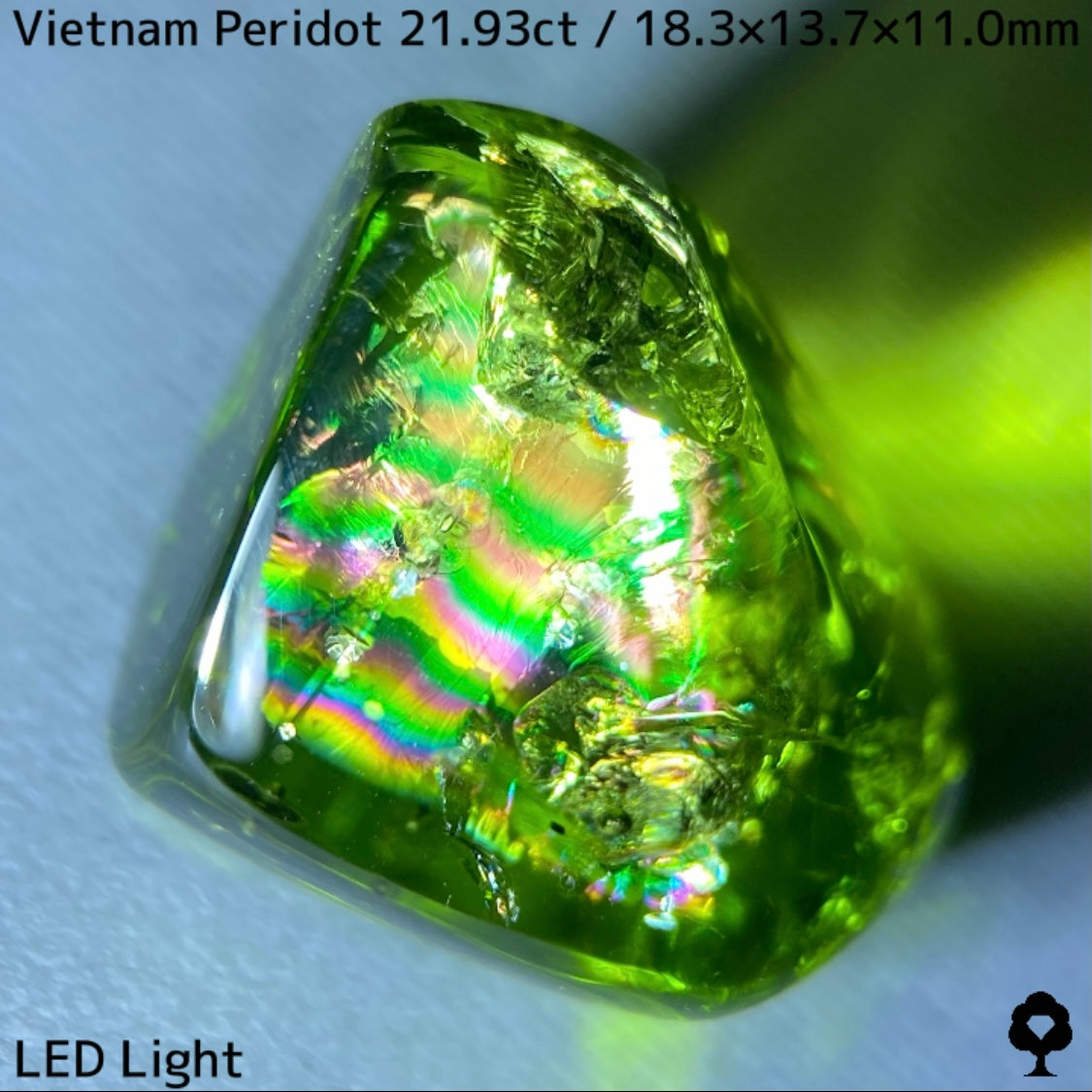 Peridot 21.93ct / Vietnam / Rough stone