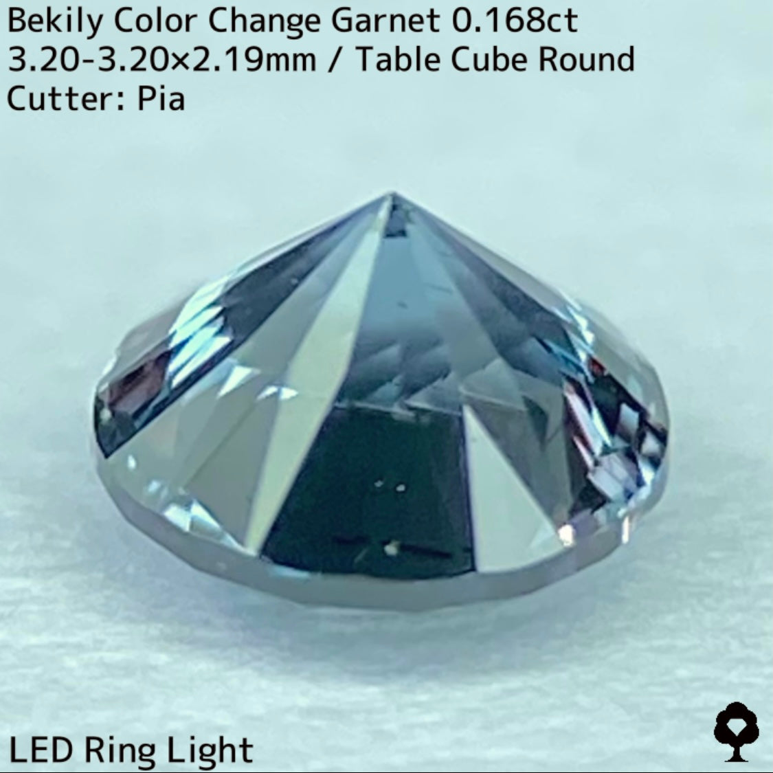 Color Change Garnet 0.168ct / Bekily(Madagascar)