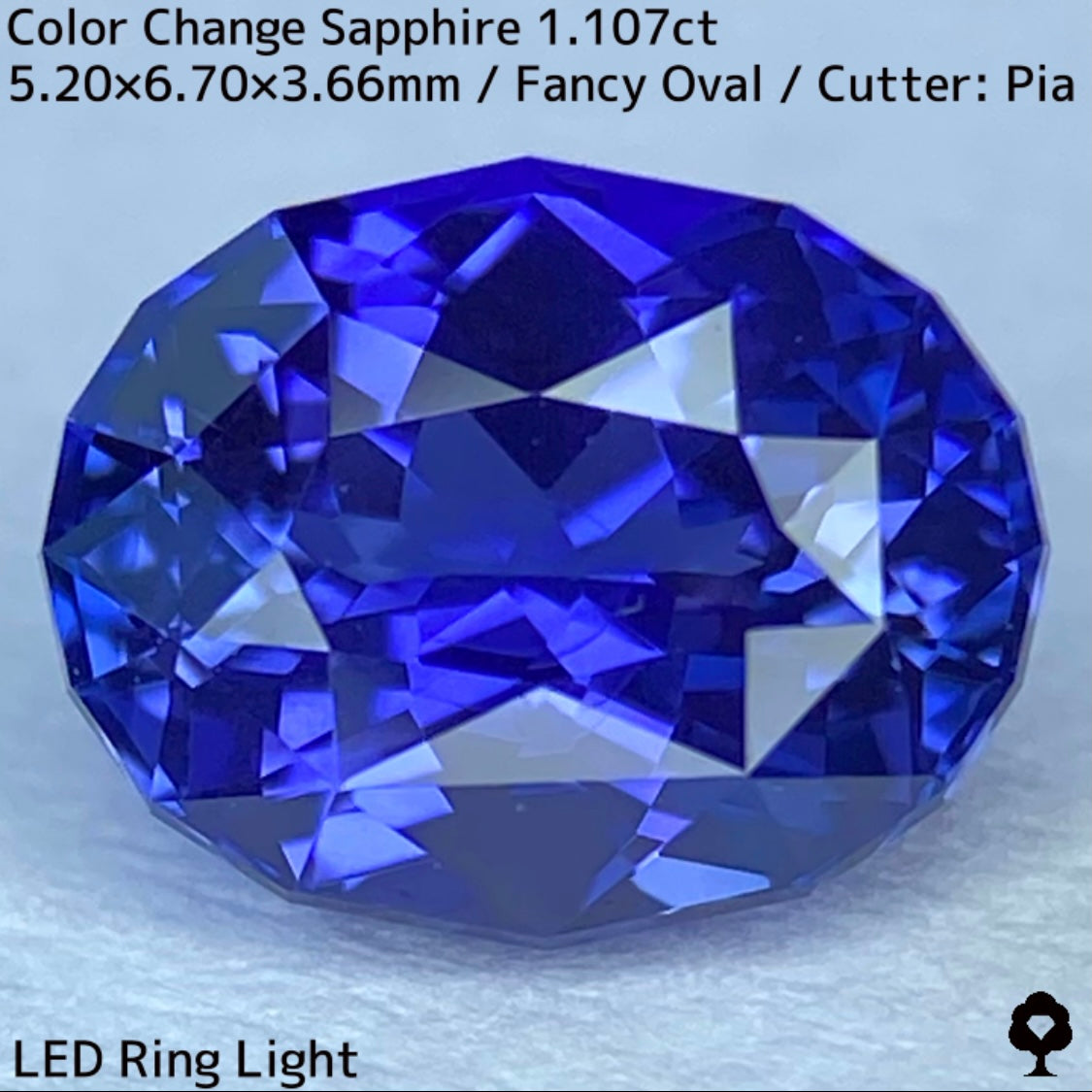 Tanzania color change sapphire 1.107ct ★ Beautiful color change multicolor crystal with a mix of blue, purple, and greenish blue