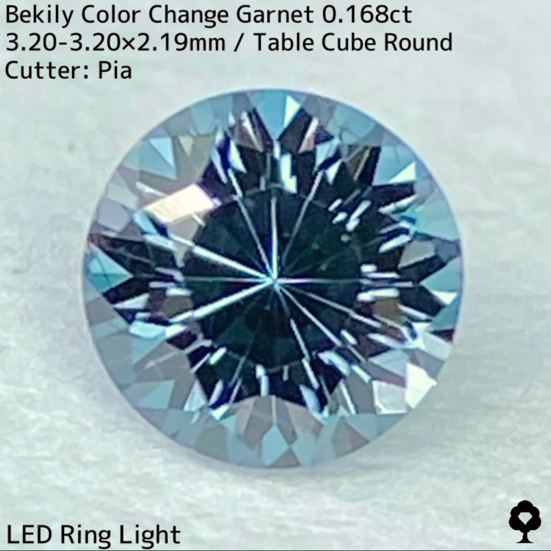 Color Change Garnet 0.168ct / Bekily(Madagascar)
